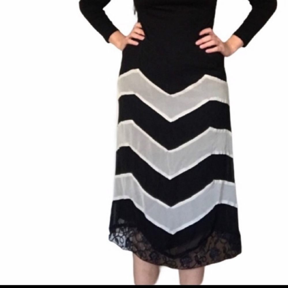 Anthropologie Odille Chevron Silk Lace Skirt 4
